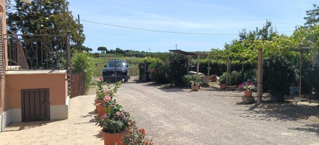 Casale in vendita a Orbetello - Foto 11
