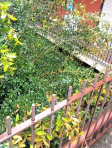 Immobile in asta di 98 m² in vendita a Giarre