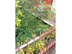 Immobile in asta di 98 m² in vendita a Giarre