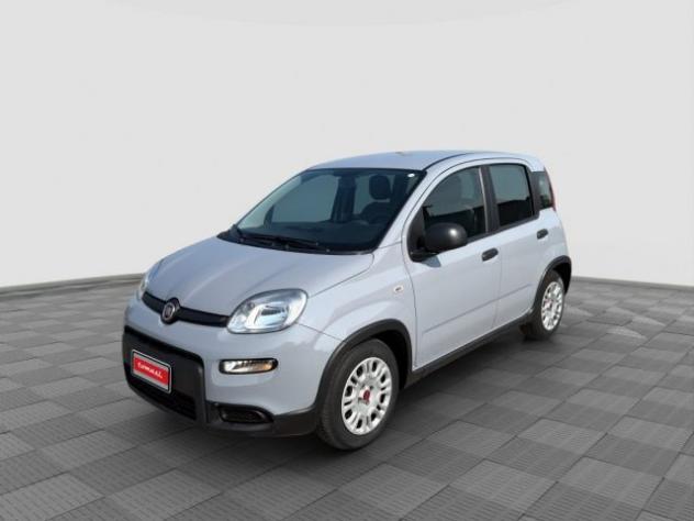 FIAT Panda Panda 1.0 FireFly Hybrid City Life rif. 24026722