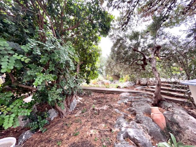 Villa in vendita a Castellammare del Golfo - Foto 11