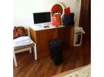 B&B Corallo