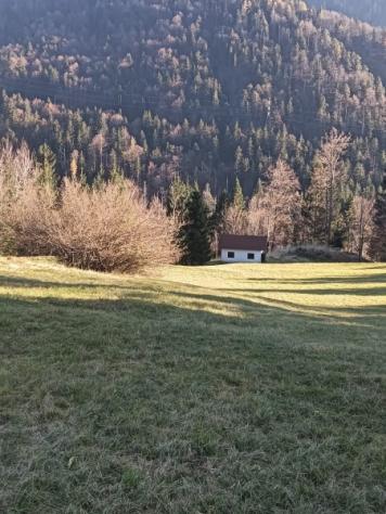 Tre baite con 22.000mq di terreno e bosco - Foto 4