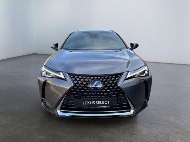 Lexus UX Hybrid Executive 2WD - Foto 2