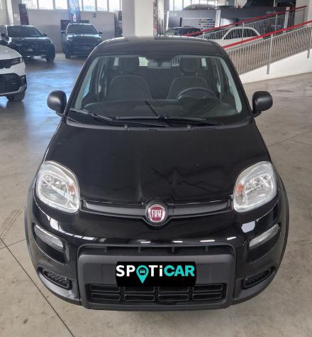 FIAT Panda Panda 1.0 firefly hybrid s&s 70cv - Foto 2