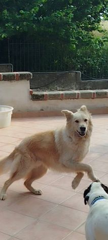 Master - Foto 3