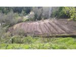 Terreno agricolo in vendita a Aulla 3000 mq  Rif: 1145754