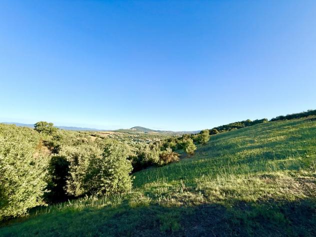 TERRENO AGRICOLO di 3 vani e di 142179 mq (GROSSETO - Istia d'Ombrone) rif. TE.41 - Foto 17