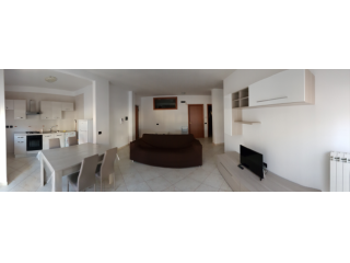 Camera in affitto - posto letto singolo