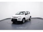 FIAT New Panda 1.0 FireFly 70cv S&S Hybrid rif. 23670303