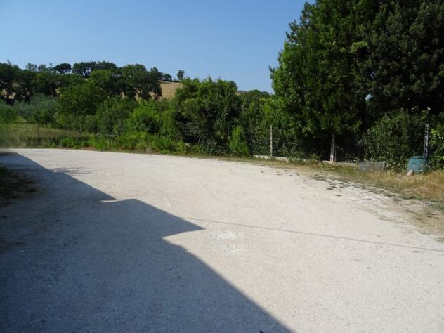 Capannone / Fondo in affitto a Mondavio - Foto 4