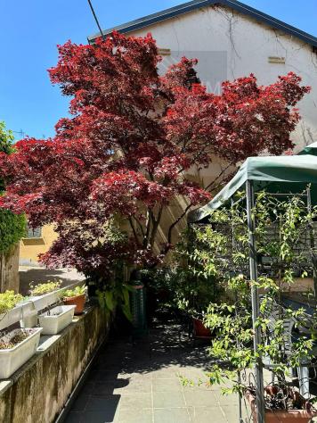 Villa o villino - Meina . Rif.: mna376nd - Foto 17