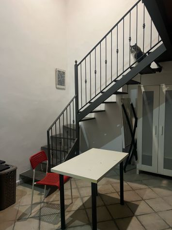 CENTRO STORICO di Napoli ad. Università, Policlinico, Pizzeria Sorbillo - Foto 6
