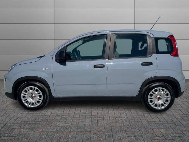 FIAT Panda 3ª serie 1.0 FireFly S&S Hybrid - Foto 2