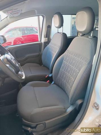 FIAT Panda 1.0 FireFly S&S Hybrid rif. 24055354 - Foto 8
