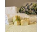 Ficodindia Rooms