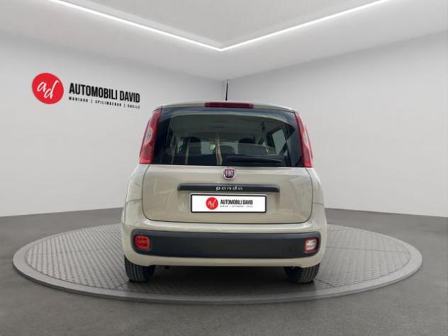 FIAT Panda 1.2 Easy rif. 23420469 - Foto 6