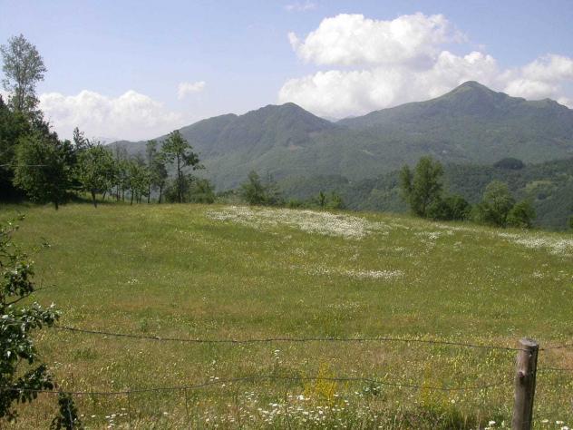 Agriturismo in vendita a Varese Ligure - Foto 11