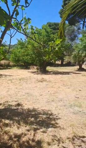 Terreno in vendita a Rosolini - Foto 6