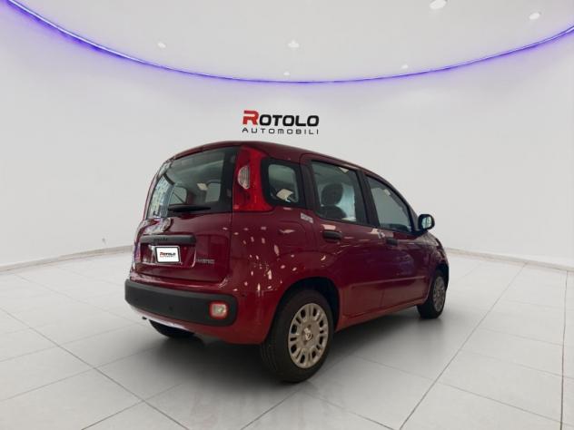 FIAT Pandina Pandina 1.0 FireFly 65 CV Hybrid Pop - Foto 6
