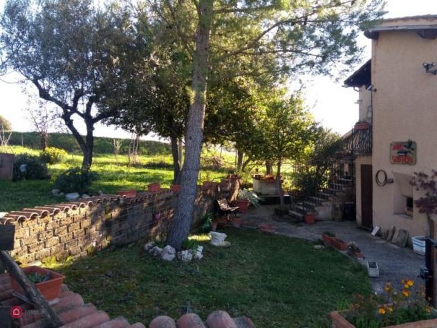 Rustico/Casale di 250mq in maglianese sp54 a Calvi dell'Umbria - Foto 9