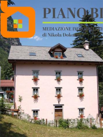 V000535 - INTERA COSTRUZIONE CON 7 APPARTAMENTI E GIARDINO - PRIMULE 1