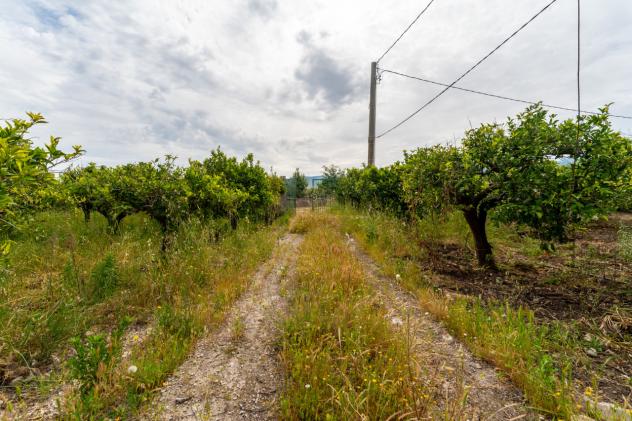 Rustico in vendita a Francofonte - Foto 20