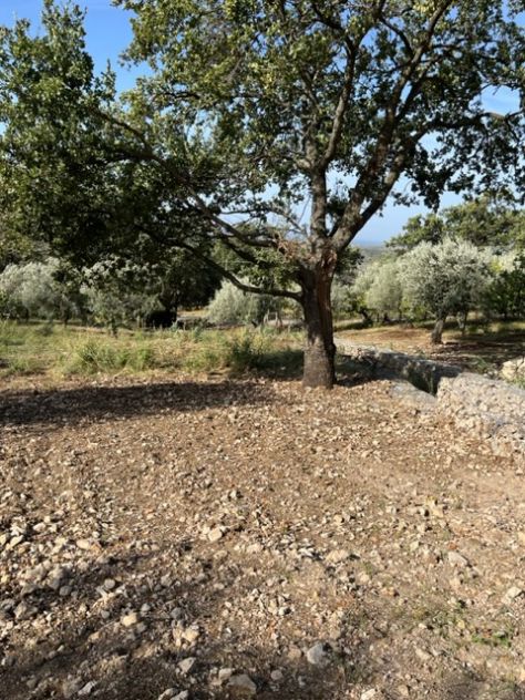 Giungano, Due Lotti Di Terreno Con Progetto Approvato - Foto 3