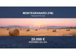 Immobile in asta di 12530 m² in vendita a Montegranaro