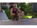 AMANTE ANIMALI DOG SITTER