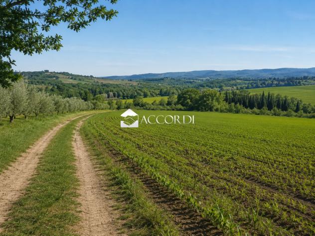RIF.LLE6 - TERRENO AGRICOLO DI UN ETTARO PIANEGGIANTE ESTE - Foto 2