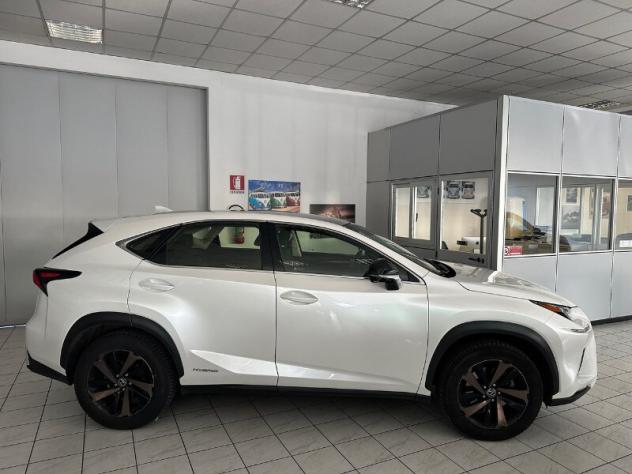 LEXUS NX 1ª serie NX Hybrid 4WD F-Sport - Foto 2
