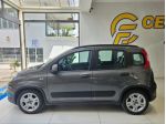FIAT Panda 1.0 FireFly S&S Hybrid City Life da €129,00 mensil rif. 22341658
