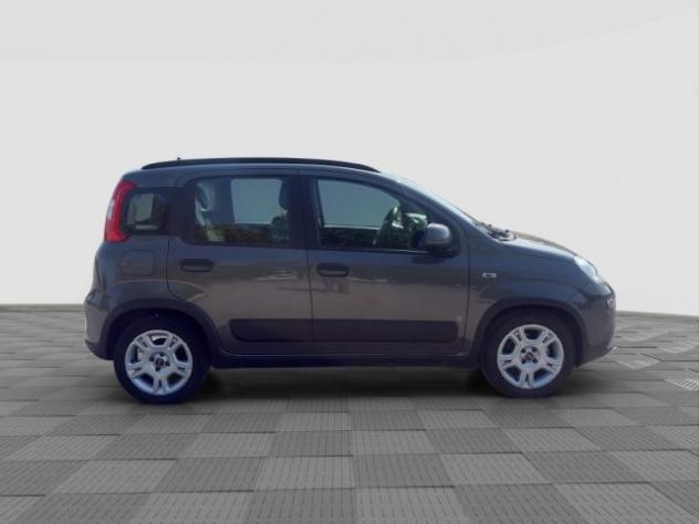 FIAT Panda Panda 1.0 FireFly Hybrid City Life rif. 23836540 - Foto 7