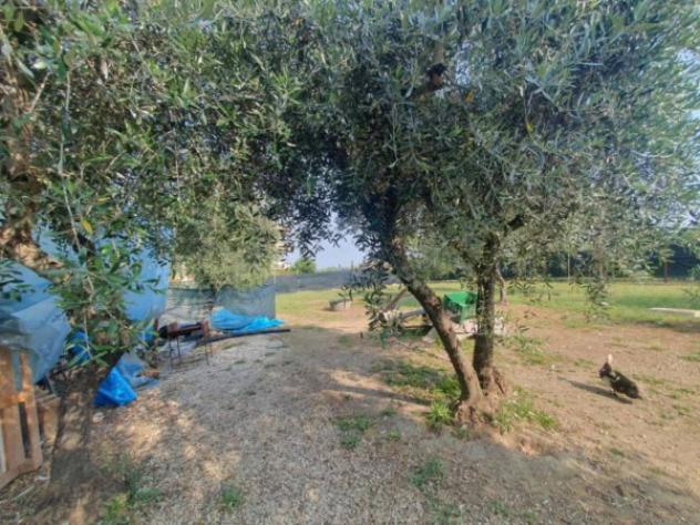 Immobile in asta di 125 m² con più di 5 locali in vendita a Reggello - Foto 7