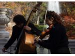 Musica matrimonio a Bollate