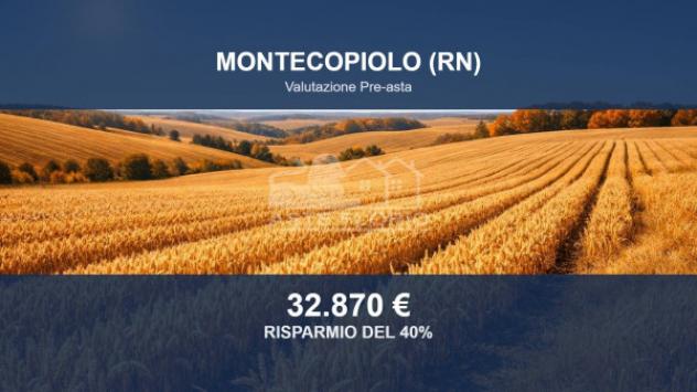 Immobile in asta di 72496 m² in vendita a Montecopiolo