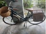Bicicletta donna