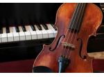 Violinista e pianista a Firenze Pisa a Prato