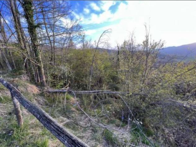 Immobile in asta di 14363 m² in vendita a Monzuno - Foto 5