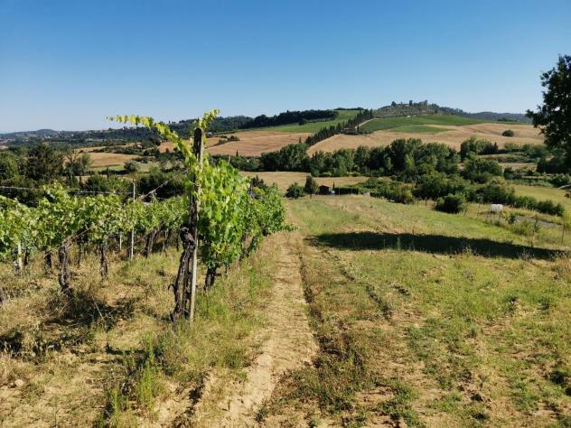 Terreno agricolo in vendita a Poggibonsi 7700 mq Rif: 1403716 - Foto 5
