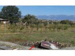 Immobile in asta di 4340 m² in vendita a San Marco Argentano