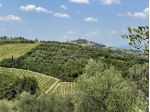 Azienda agricola in vendita a Calenzano - San Miniato 103509 mq  Rif: 1141079