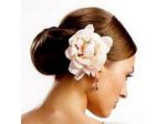 Fashion Look Parrucchieri