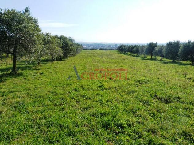 Terreno Edificabile - Rif. 2489 - Foto 6