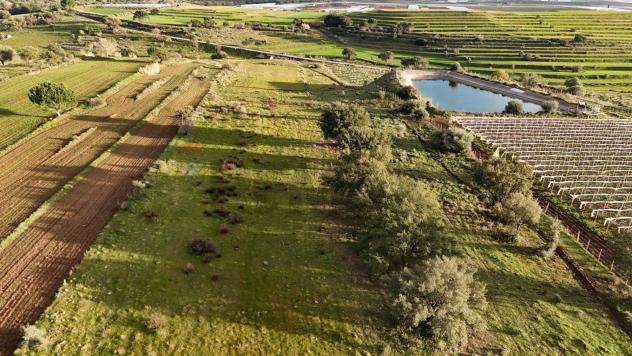 Terreno in vendita a Caltagirone - Foto 14