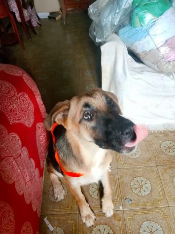 SARABY - Foto 3