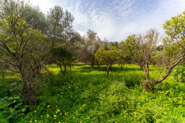 Agricolo in vendita a Catania - Foto 12