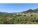 GIFFONI VALLE PIANA In posizione collinare Terreno di 2 ettari