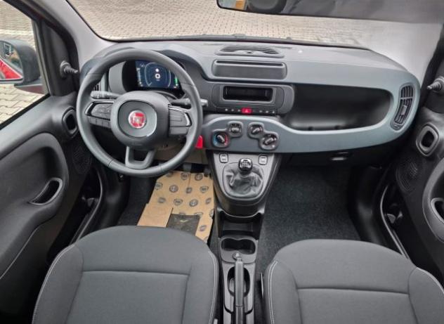 FIAT Pandina 1.0 FireFly 69cv Hybrid Pandina Icon 5 Posti rif. 23911865 - Foto 5